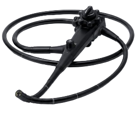 Flexible Endoscope